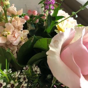 Meet your Posher, Gina